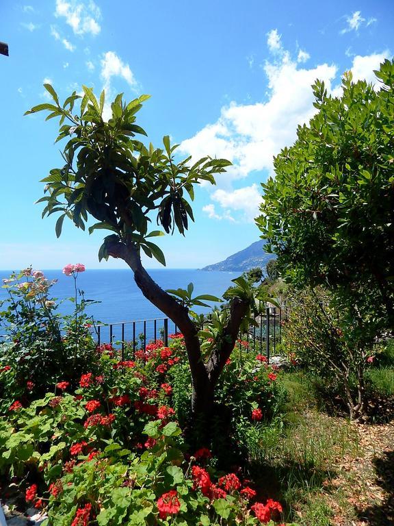 Amalfi View Cottage Exterior foto